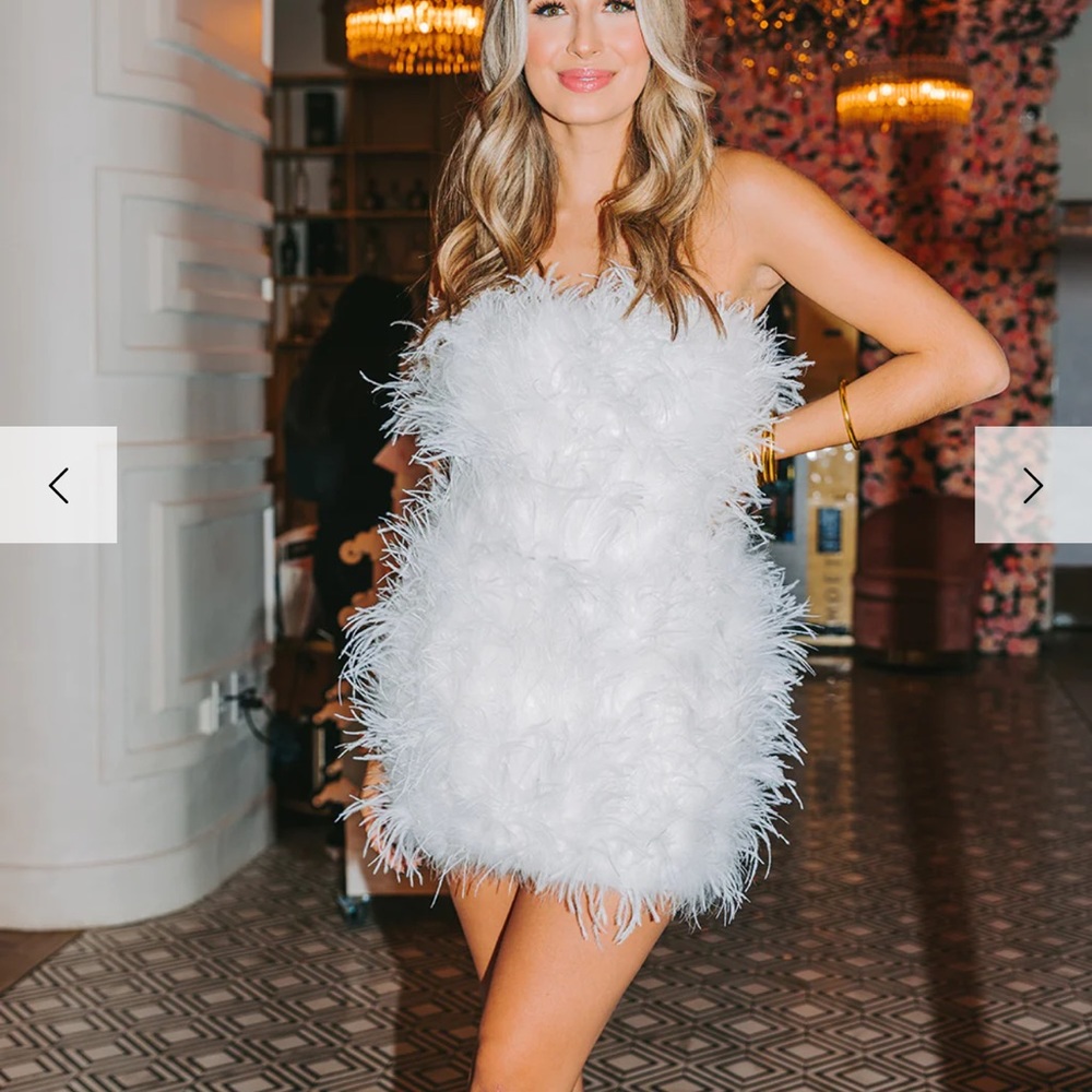 BuddyLove - CELESTE FEATHER MINI DRESS